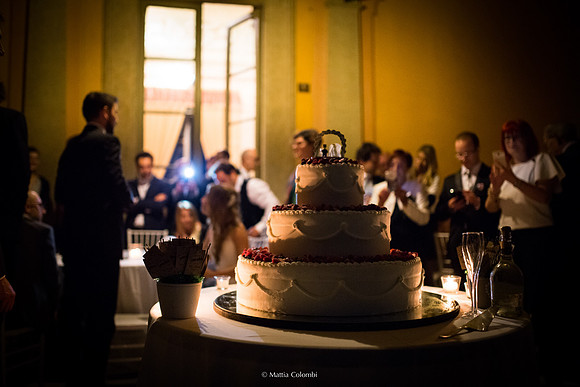Matrimonio Rito Civile Villa Botta Adorno Pavia S.&M.