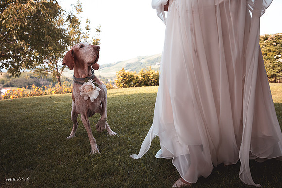 Matrimonio villa odero frecciarossa