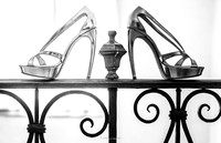 Matrimonio con rito civile in Villa Cà Marcello Padova C.&P.