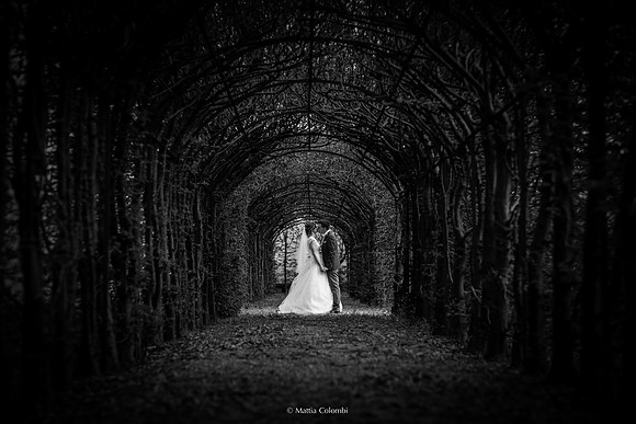 Matrimonio con Rito Religioso Collegio Borromeo Pavia E. &. A.