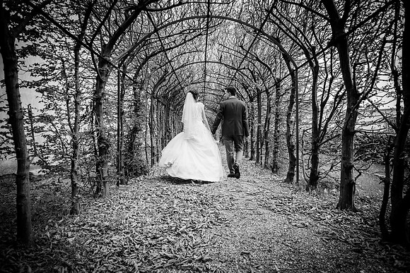 Matrimonio con Rito Religioso Collegio Borromeo Pavia E. &. A.