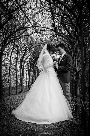 Matrimonio con Rito Religioso Collegio Borromeo Pavia E. &. A.