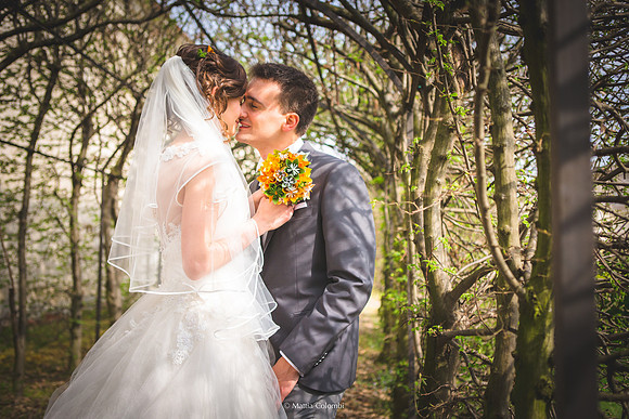 Matrimonio con Rito Religioso Collegio Borromeo Pavia E. &. A.