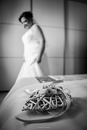 Matrimonio religioso nella chiesa di San Lanfranco a Pavia, ricevimento ai Granai Certosa.