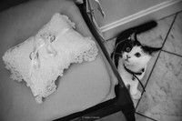 Fotografo Matrimonio Milano