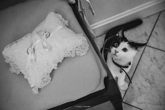 Fotografo Matrimonio Milano