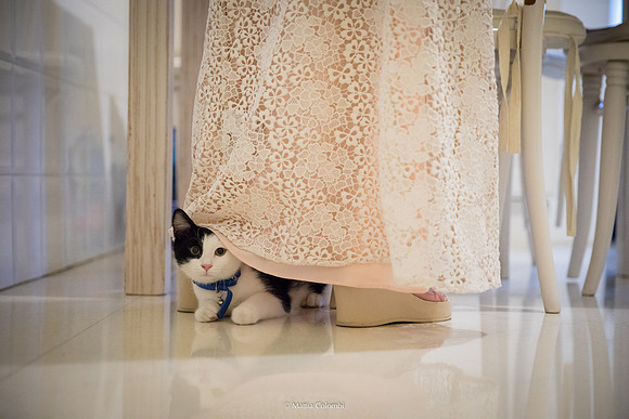 Fotografo Matrimonio Milano