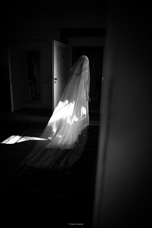 Fotografo di matrimonio
