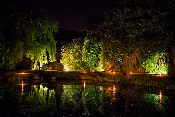 Fotografo di matrimonio