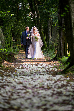 Fotografo di matrimonio