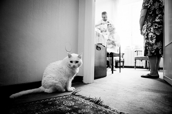 Fotografo di matrimonio