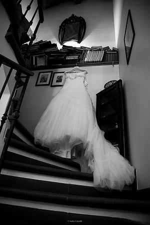 Fotografo di matrimonio