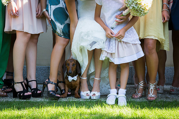 Fotografo di matrimonio